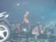 dsc01811_small.jpg